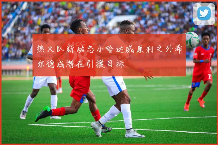 热火队新动态小哈达威康利之外希尔德成潜在引援目标